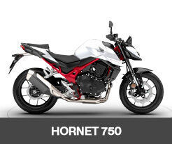 Destaque-Hornet750