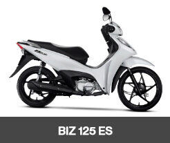 biz125es-2026
